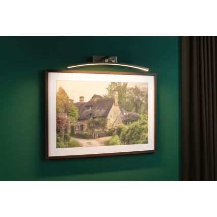 Paulmann 95561 - LED/10W Oświetlenie do obrazów BENTO 230V, 50 cm, mosiądz