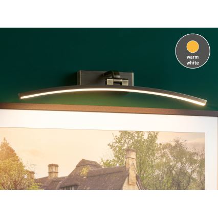 Paulmann 95561 - LED/10W Oświetlenie do obrazów BENTO 230V, 50 cm, mosiądz