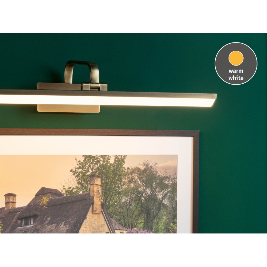 Paulmann 95570 - LED/11W Kinkiet do obrazów RENAN 230V 60 cm mosiądz