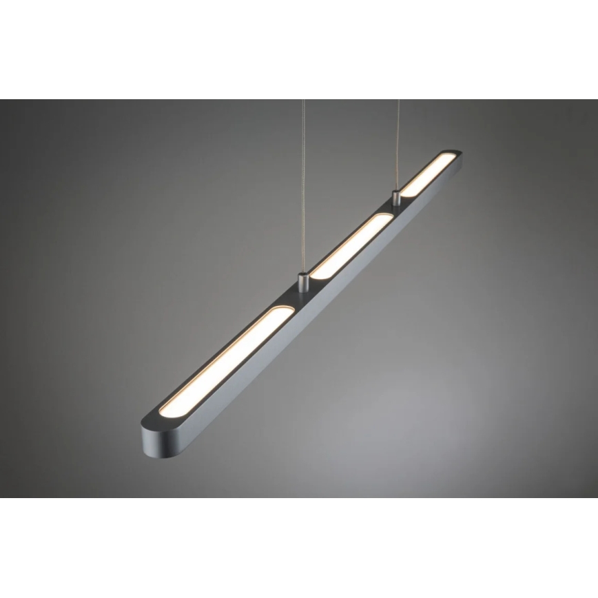 Paulmann 95578 - LED/40W Ściemnialny żyrandol na lince URAIL LENTO 230V 2700-6500K