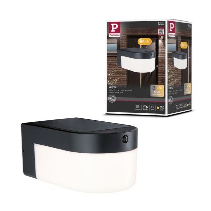 Paulmann 95747 - LED/2,3W IP44 Kinkiet solarny z czujnikiem CALYNE 3,7/230V 4000 mAh czarny