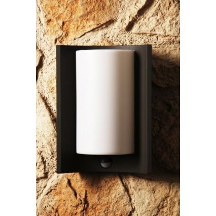 Philips 16405/93/16 - Kinkiet zewnętrzny MYGARDEN MEANDER 1xE27/20W/230V