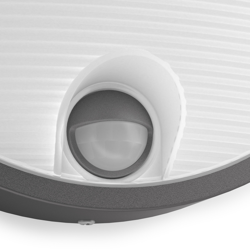 Philips 16456/93/16 - LED zewnętrzny kinkiet z czujnikiem ruchu MYGARDEN CAPRICORN LED/6W/230V