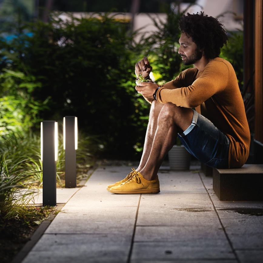 Philips 16488/93/P0 - Oświetlenie zewnętrzne MYGARDEN STRATOSPHERE 2xLED/4,5W