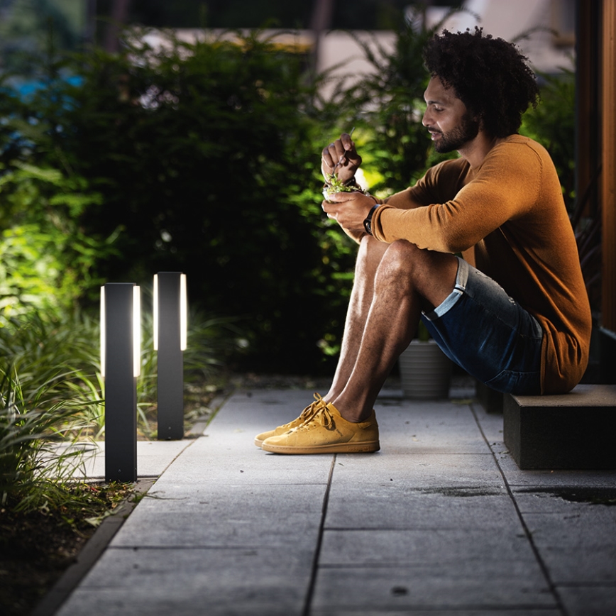 Philips 16488/93/P3 - Oświetlenie zewnętrzne MYGARDEN STRATOSPHERE 2xLED/4,5W