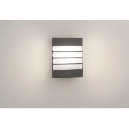 Philips 17273/93/16 - LED lampa zewnętrzna MYGARDEN RACCOON 1xLED/3W/230V