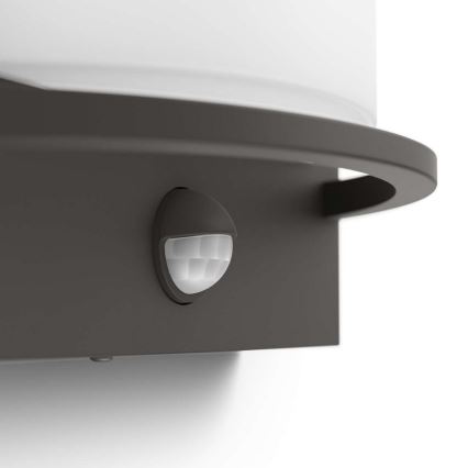 Philips 17392/93/P0 - LED kinkiet zewnętrzny MYGARDEN SAMONDRA LED/12W