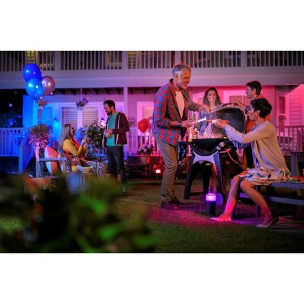 Philips 17415/30/P7 - Zestaw uzupełniający HUE LILY LED-RGB/8W/230V IP65