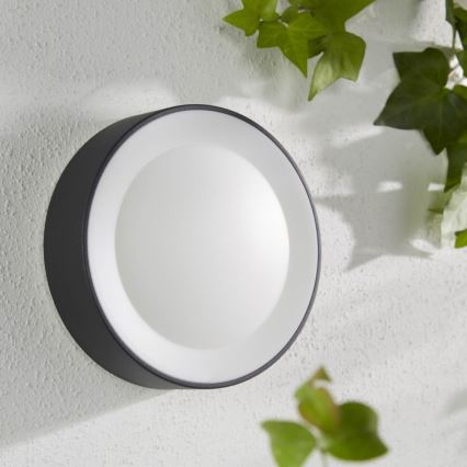 Philips - LED RGBW Ściemnialny kinkiet zewnętrzny Hue DAYLO LED/15W/230V 2000-6500K IP44