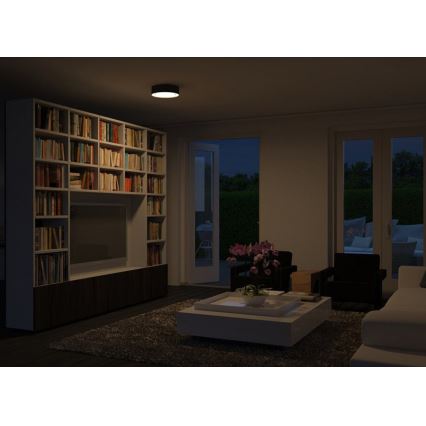 Philips 30175/30/16 - Plafon MYLIVING VELOUR 2xE27/23W/230V