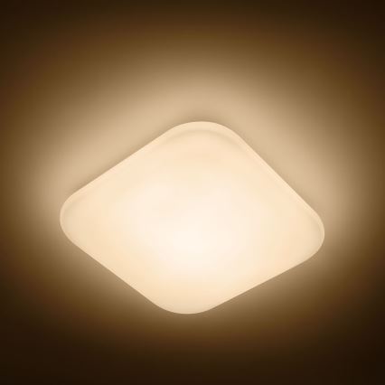 Philips 31110/31/P0 - LED Lampa sufitowa MAUVE 1xLED/17W/230V