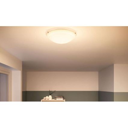 Philips - LED plafon 1xLED/22W/230V