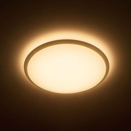 Philips - LED Lampa sufitowa 1xLED/17W/230V