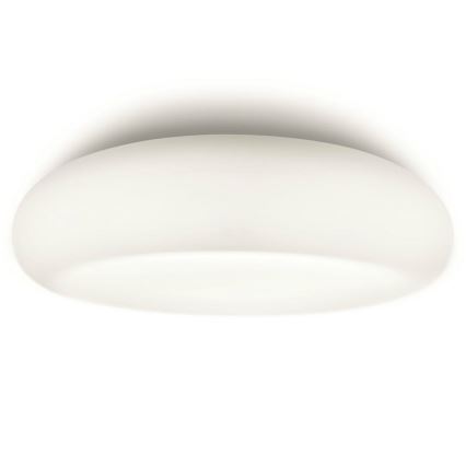 Philips 32067/31/16 - Plafon łazienkowy MYBATHROOM MIST 2xE27/15W/230V