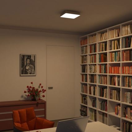 Philips 32203/17/16 - Plafon łazienkowy INSTYLE PLANO 1x2GX13/40W/230V