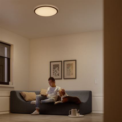 Philips 32809/31/P3 - LED Plafon ściemnialny CANAVAL LED/18W/230V