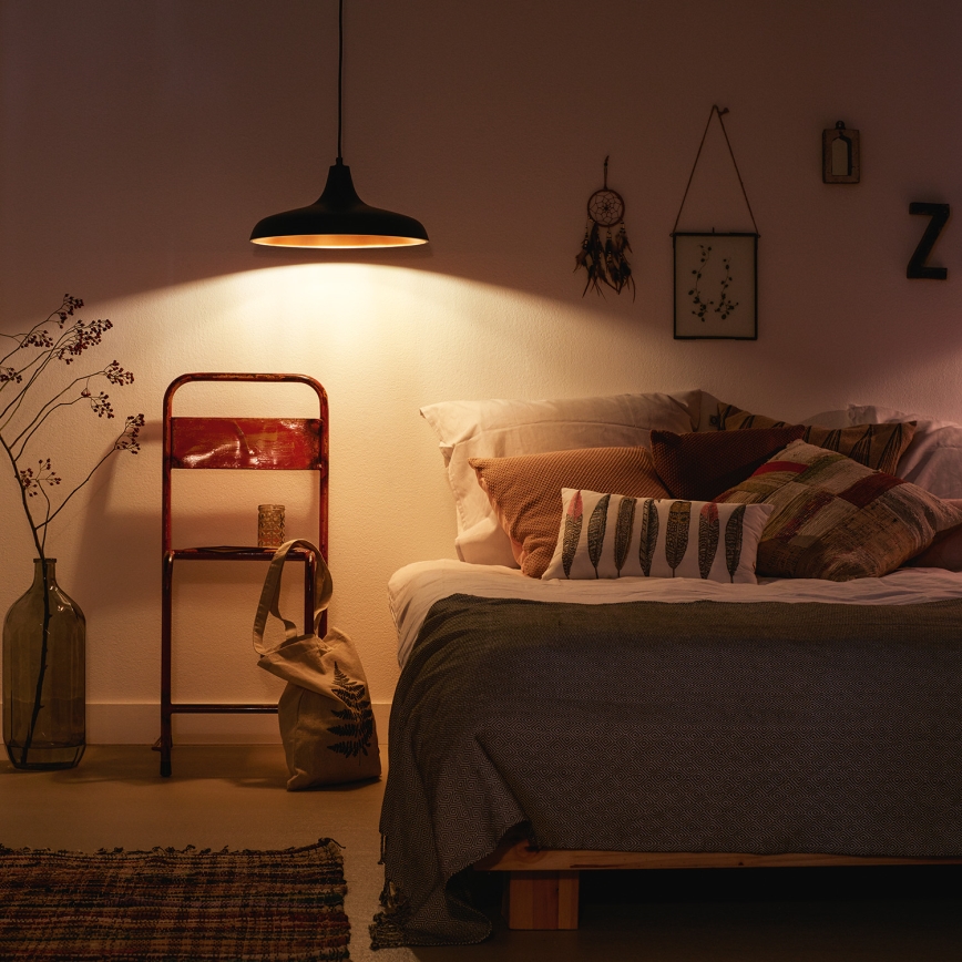 Philips 36032/30/E7 - Żyrandol MYLIVING DURHAM 1xE27/40W/230V