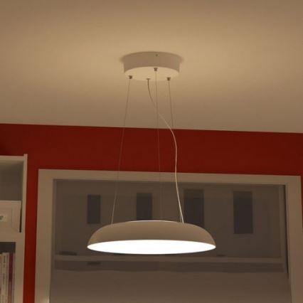 Philips 40233/31/16 - Lampa wisząca MYLIVING AMAZE 1x2GX13/60W/230V