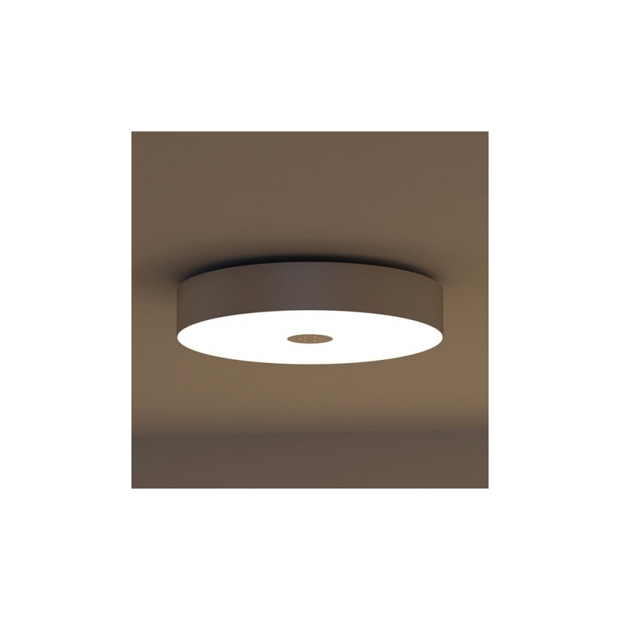 Philips 40340/48/16 - Lampa sufitowa MYLIVING FAIR 1x2GX13/60W/230V