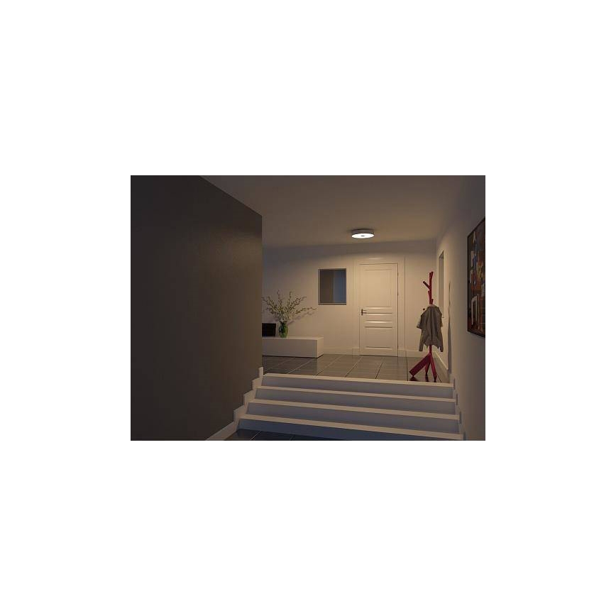Philips 40340/48/16 - Lampa sufitowa MYLIVING FAIR 1x2GX13/60W/230V