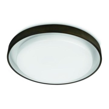 Philips 40732/86/16 - Plafon natynkowy INSTYLE 1x2GX