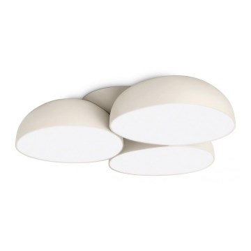 Philips 40829/38/16 - LED Plafon INSTYLE STONEZ 12xLED/2,5W/230V