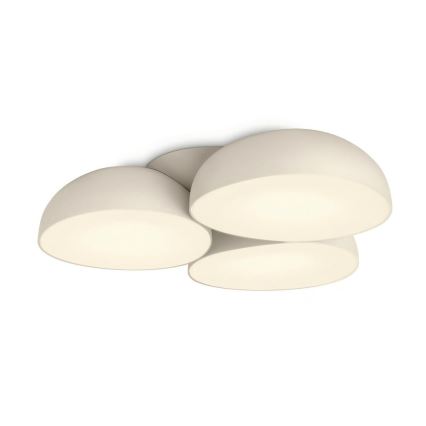 Philips 40829/38/16 - LED Plafon INSTYLE STONEZ 12xLED/2,5W/230V