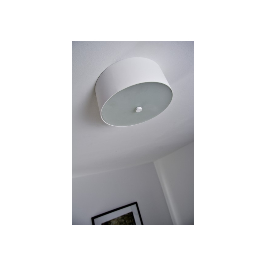 Philips 40832/31/16 - LED Lampa sufitowa MYLIVING SEQUENS 3xLED/2,5W/230V