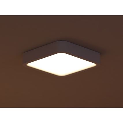 Philips 40833/31/16 - LED Plafon MYLIVING STIMUS 8xLED/2,5W/230V
