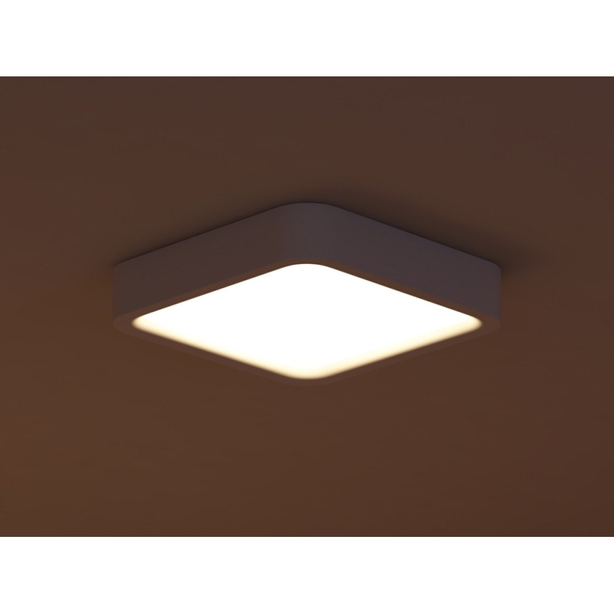Philips 40833/31/16 - LED Plafon MYLIVING STIMUS 8xLED/2,5W/230V