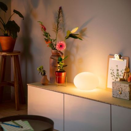 Philips 40904/31/P9 - LED Lampa stołowa HUE FLOURISH 1xE27/9,5W/230V
