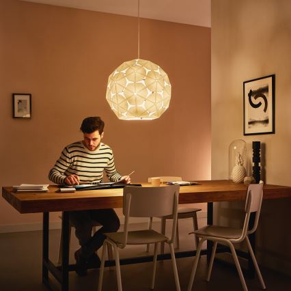 Philips 40914/21/PN - Żyrandol MYLIVING CORKWOOD E27/60W/230V