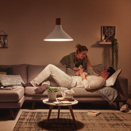 Philips 40954/31/PN - Żyrandol MYLIVING TUNNEL E27/60W/230V