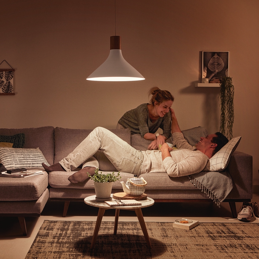 Philips 40954/31/PN - Żyrandol MYLIVING TUNNEL E27/60W/230V