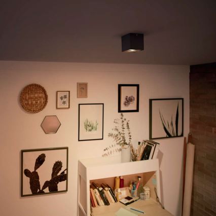 Philips 50491/30/P0 - LED Reflektor punktowy MYLIVING BOX 1xLED/4,5W/230V