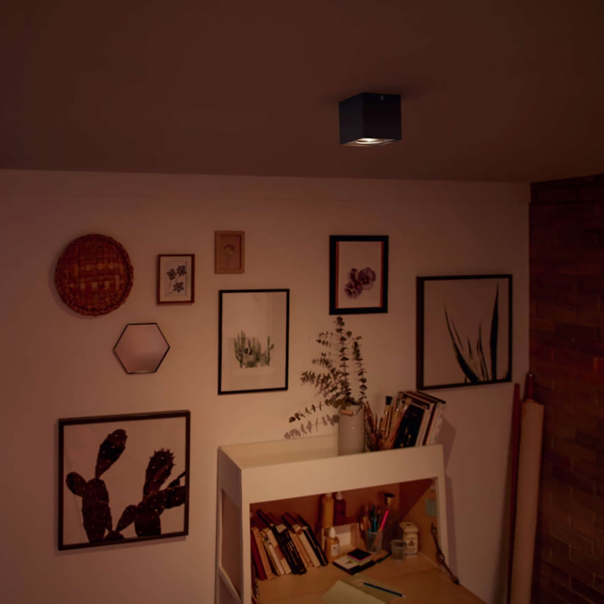 Philips 50491/30/P0 - LED Reflektor punktowy MYLIVING BOX 1xLED/4,5W/230V