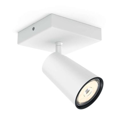 Philips - LED Oświetlenie punktowe 1xGU10/5,5W/230V