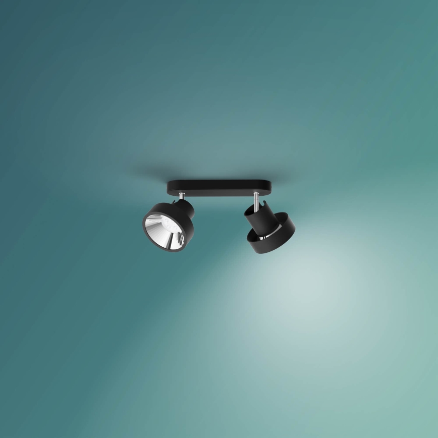 Philips 50602/30/P0 - LED Ściemnialny reflektor BUKKO 2xLED/4,5W/230V