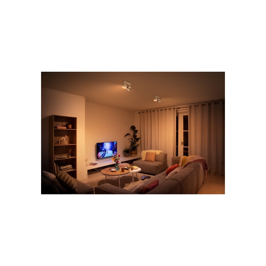 Philips 50602/31/P0 - LED Oświetlenie punktowe BUKKO 2xLED/4,5W/230V