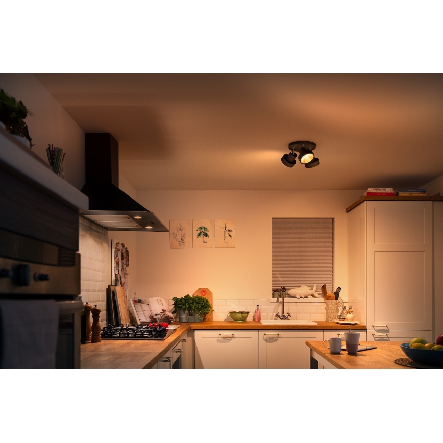Philips 50603/30/P0 - LED Ściemnialny reflektor BUKKO 3xLED/4,3W/230V