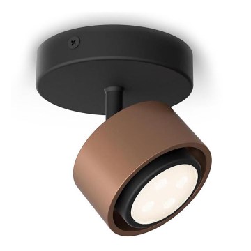 Philips 50651/05/P0 - LED Oświetlenie punktowe FERANO LED/4,3W/230V