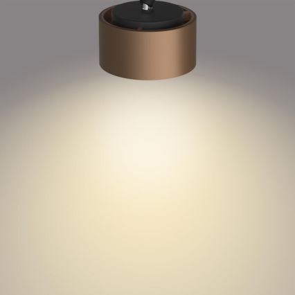 Philips 50651/05/P0 - LED Oświetlenie punktowe FERANO LED/4,3W/230V