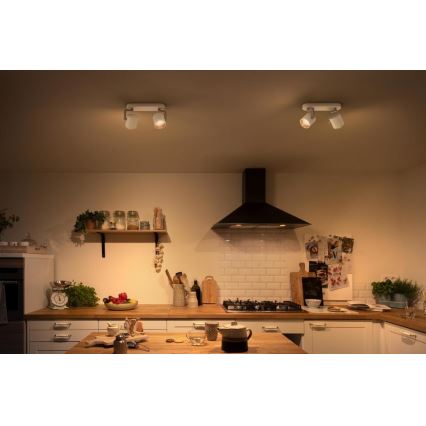 Philips - LED Ściemnialne oświetlenie punktowe 2xLED/4.5W/230V