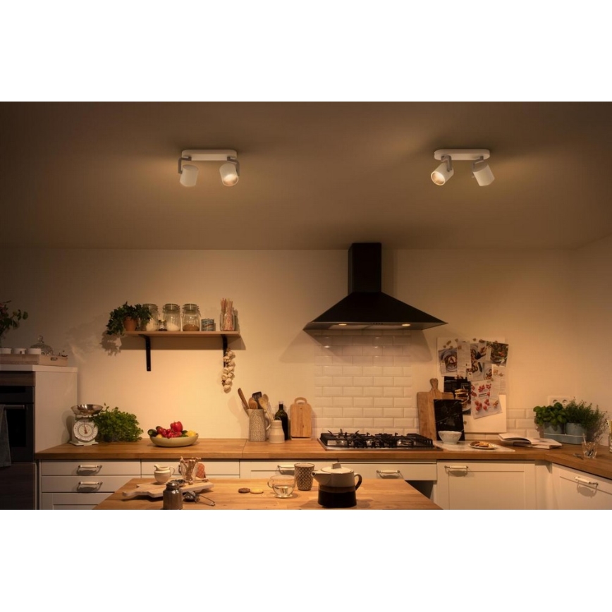 Philips - LED Ściemnialne oświetlenie punktowe 2xLED/4.5W/230V