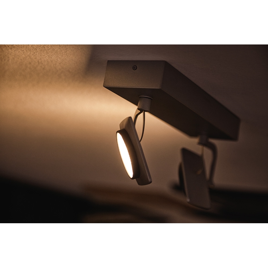 Philips 53192/48/P0 - LED Oświetlenie punktowe MILLENNIUM 2xLED/4,5W/230V
