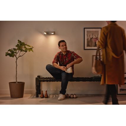 Philips 53192/48/P0 - LED Oświetlenie punktowe MILLENNIUM 2xLED/4,5W/230V