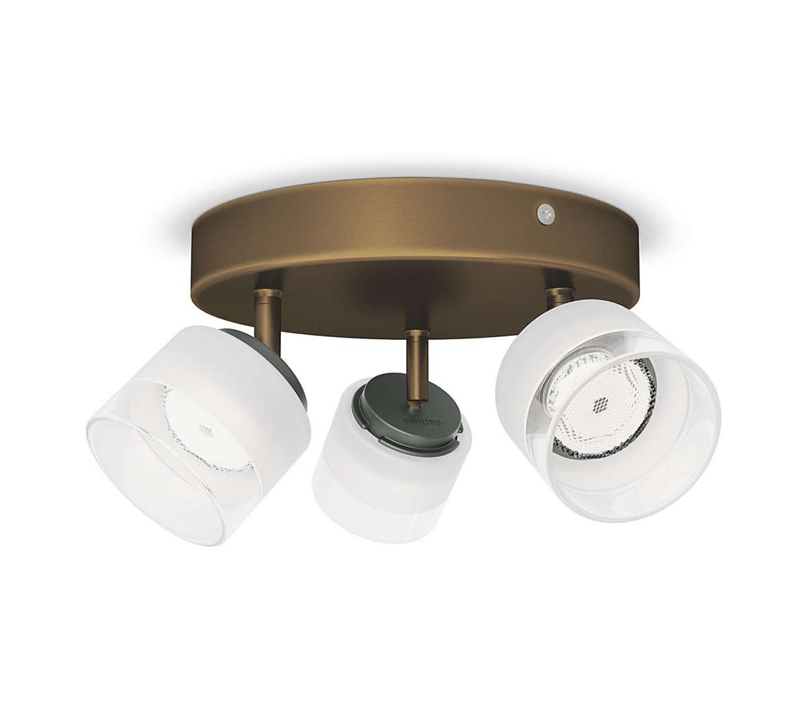 Philips 53333/06/16 - LED reflektor FREMONT 3xLED/4W/230V