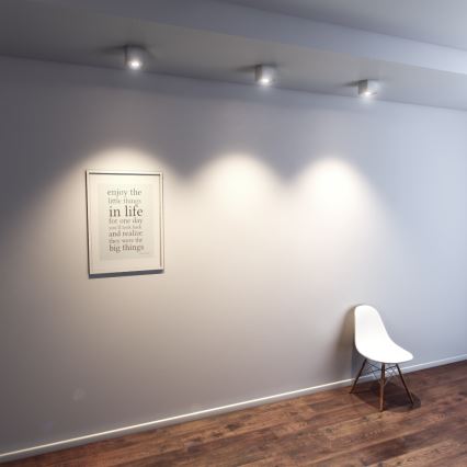 Philips 56230/48/16 - Oprawa przysufitowa MYLIVING TEMPO 1xGU10/50W/230V