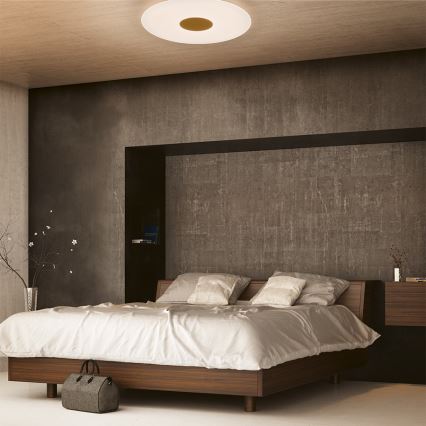 Philips 61079/31/P5 - LED Plafon ściemnalny HARAZ LED/75W/230V