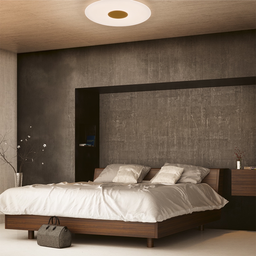 Philips 61079/31/P5 - LED Plafon ściemnalny HARAZ LED/75W/230V